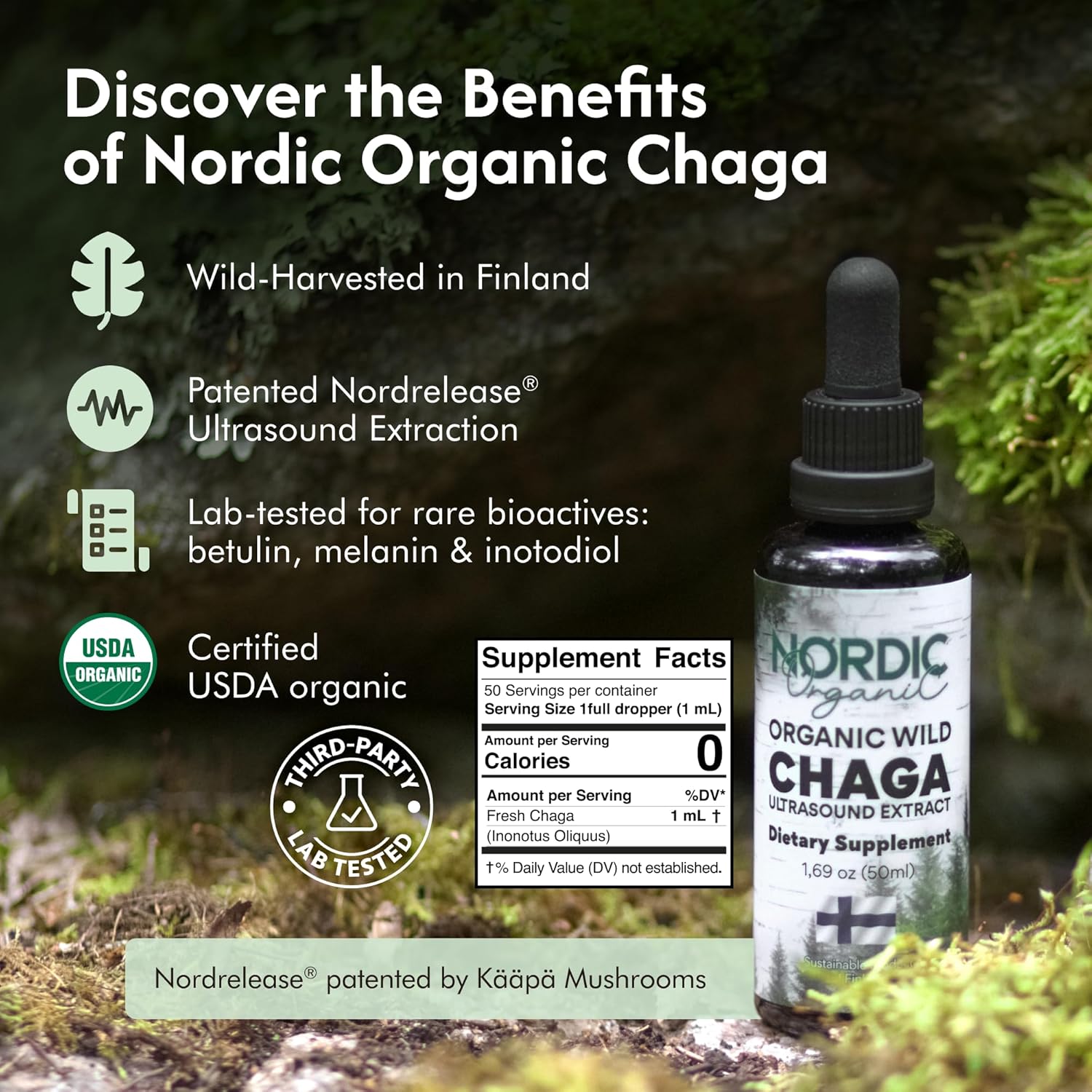 Chaga Mushroom Tincture - Best Chaga Mushroom Extract | Nordic Organic Chaga Mushroom Tincture - Best Chaga Mushroom Extract | Nordic Organic