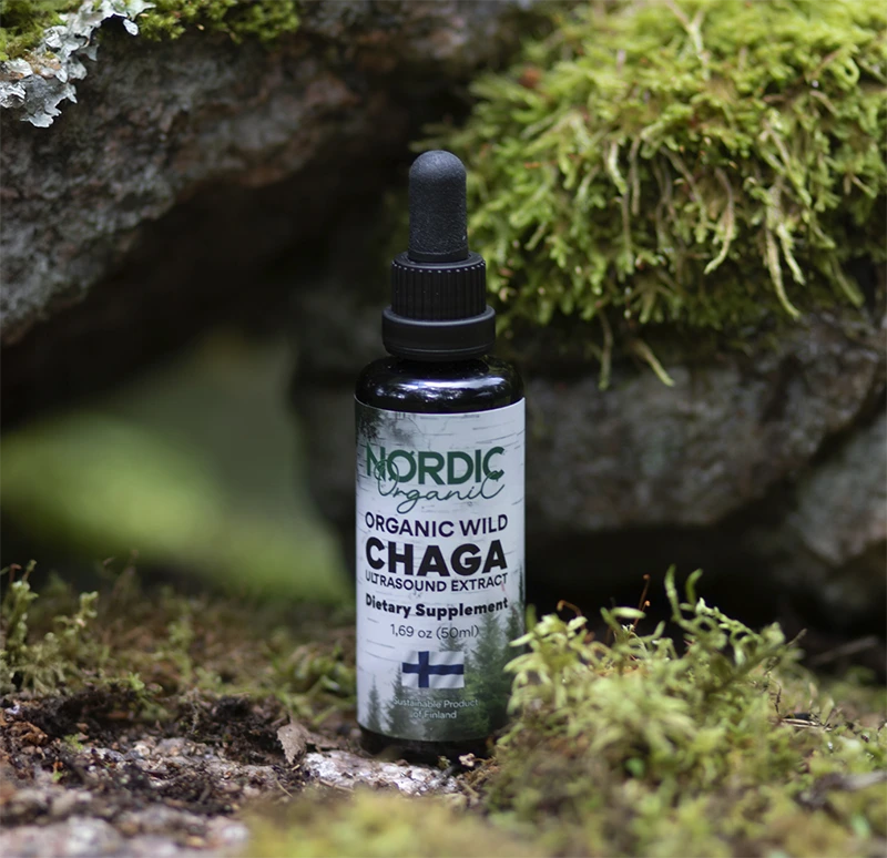 Chaga