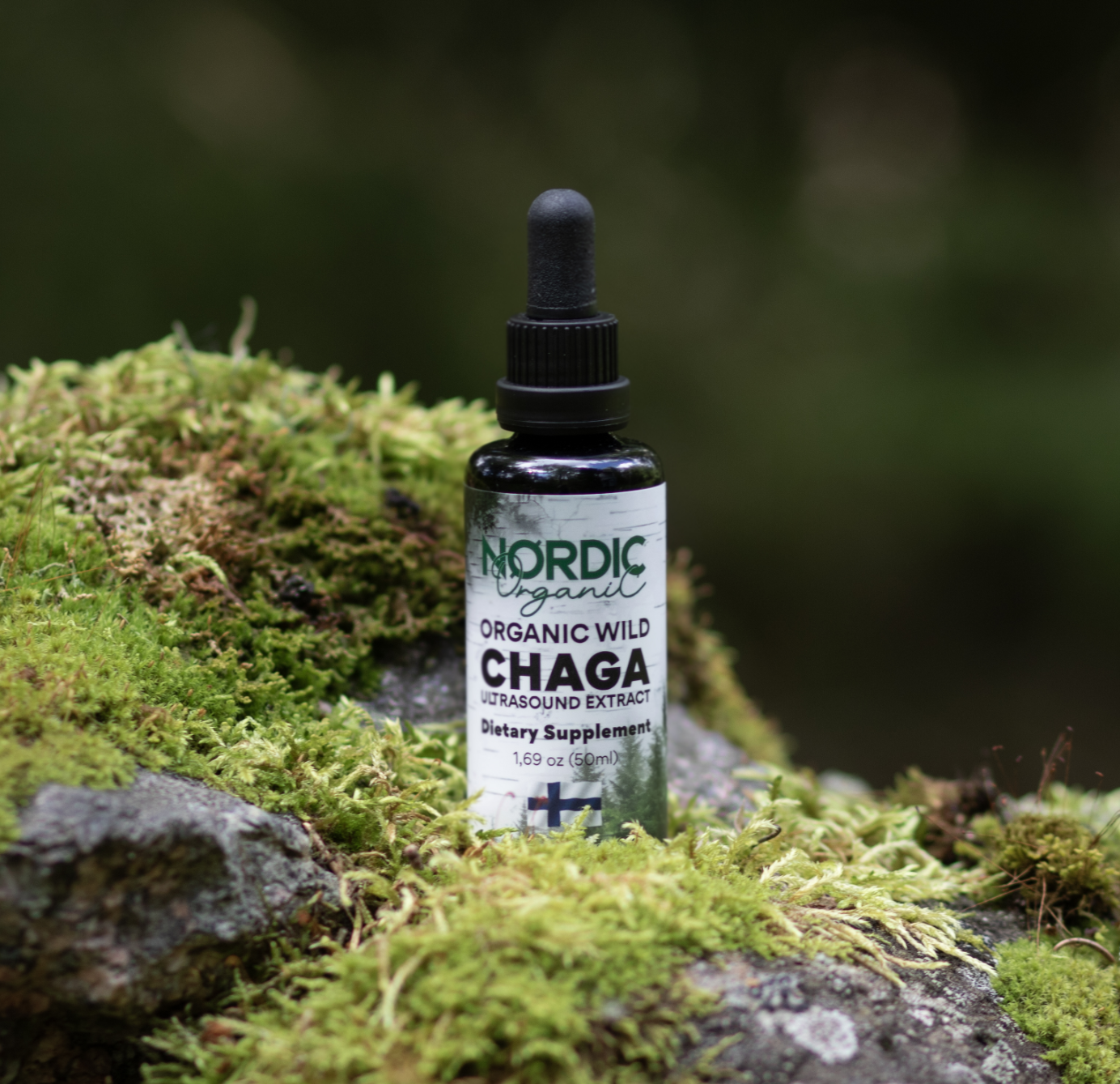 chaga tincture