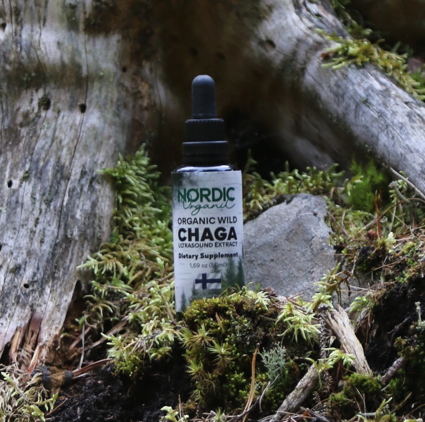 Chaga