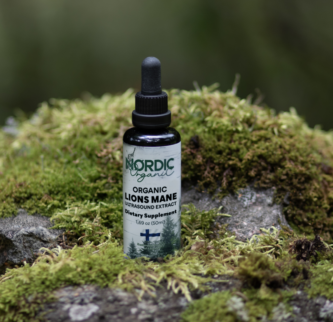 lion's mane mushroom tincture